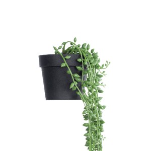 glo-20882-20882_4 GLOBOSTAR® ARTIFICIAL GARDEN HANGING LOVERS TEARS 20882 - ΤΕΧΝΗΤΟ ΚΡΕΜΑΣΤΟ ΔΙΑΚΟΣΜΗΤΙΚΟ Φ