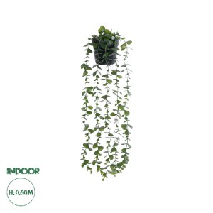 glo-20884-20884_0 GLOBOSTAR® ARTIFICIAL GARDEN HANGING EUCALYPTUS LEAF 20884 - ΤΕΧΝΗΤΟ ΚΡΕΜΑΣΤΟ ΔΙΑΚΟΣΜΗΤΙΚΟ