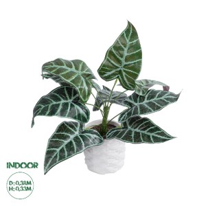glo-20886-20886_0 GLOBOSTAR® ARTIFICIAL GARDEN ALOCASIA 20886 ΤΕΧΝΗΤΟ ΔΙΑΚΟΣΜΗΤΙΚΟ ΦΥΤΟ ΑΛΟΚΑΣΙΑ Φ38 X Υ33CM