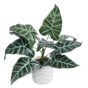 glo-20886-20886_2 GLOBOSTAR® ARTIFICIAL GARDEN ALOCASIA 20886 ΤΕΧΝΗΤΟ ΔΙΑΚΟΣΜΗΤΙΚΟ ΦΥΤΟ ΑΛΟΚΑΣΙΑ Φ38 X Υ33CM
