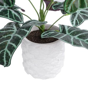glo-20886-20886_4 GLOBOSTAR® ARTIFICIAL GARDEN ALOCASIA 20886 ΤΕΧΝΗΤΟ ΔΙΑΚΟΣΜΗΤΙΚΟ ΦΥΤΟ ΑΛΟΚΑΣΙΑ Φ38 X Υ33CM