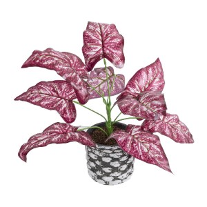 glo-20887-20887_2 GLOBOSTAR® ARTIFICIAL GARDEN RED POLKA 20887 ΤΕΧΝΗΤΟ ΔΙΑΚΟΣΜΗΤΙΚΟ ΦΥΤΟ ΚΟΚΚΙΝΗ ΠΟΛΚΑ Φ38 X