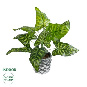 glo-20888-20888_0 GLOBOSTAR® ARTIFICIAL GARDEN PEACOCK 20888 ΤΕΧΝΗΤΟ ΔΙΑΚΟΣΜΗΤΙΚΟ ΦΥΤΟ ΠΑΓΩΝΙ Φ38 X Υ33CM