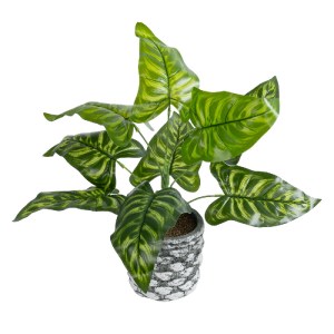 glo-20888-20888_2 GLOBOSTAR® ARTIFICIAL GARDEN PEACOCK 20888 ΤΕΧΝΗΤΟ ΔΙΑΚΟΣΜΗΤΙΚΟ ΦΥΤΟ ΠΑΓΩΝΙ Φ38 X Υ33CM