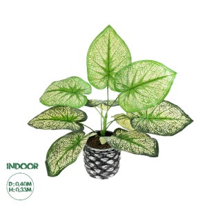 glo-20889-20889_0 GLOBOSTAR® ARTIFICIAL GARDEN CALADIUM 20889 ΤΕΧΝΗΤΟ ΔΙΑΚΟΣΜΗΤΙΚΟ ΦΥΤΟ ΤΡΟΠΙΚΟ ΦΥΤΟ Φ40 X Υ