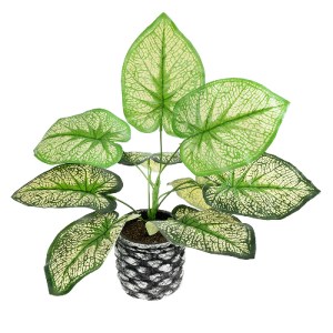 glo-20889-20889_2 GLOBOSTAR® ARTIFICIAL GARDEN CALADIUM 20889 ΤΕΧΝΗΤΟ ΔΙΑΚΟΣΜΗΤΙΚΟ ΦΥΤΟ ΤΡΟΠΙΚΟ ΦΥΤΟ Φ40 X Υ