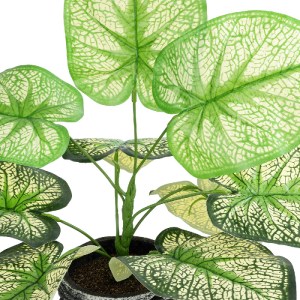 glo-20889-20889_3 GLOBOSTAR® ARTIFICIAL GARDEN CALADIUM 20889 ΤΕΧΝΗΤΟ ΔΙΑΚΟΣΜΗΤΙΚΟ ΦΥΤΟ ΤΡΟΠΙΚΟ ΦΥΤΟ Φ40 X Υ