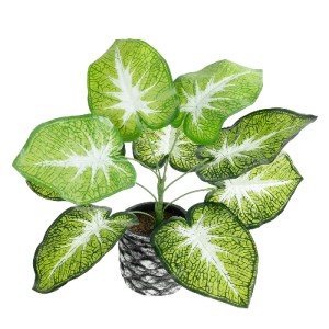 glo-20890-20890_2 GLOBOSTAR® ARTIFICIAL GARDEN CALADIUM 20890 ΤΕΧΝΗΤΟ ΔΙΑΚΟΣΜΗΤΙΚΟ ΦΥΤΟ ΤΡΟΠΙΚΟ ΦΥΤΟ  Φ40 X 