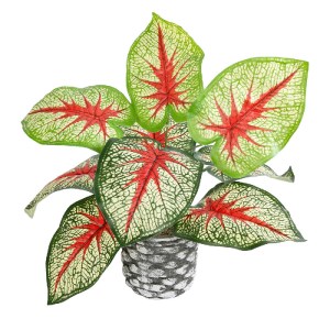 glo-20891-20891_2 GLOBOSTAR® ARTIFICIAL GARDEN CALADIUM 20891 ΤΕΧΝΗΤΟ ΔΙΑΚΟΣΜΗΤΙΚΟ ΦΥΤΟ ΤΡΟΠΙΚΟ ΦΥΤΟ Φ40 X Υ