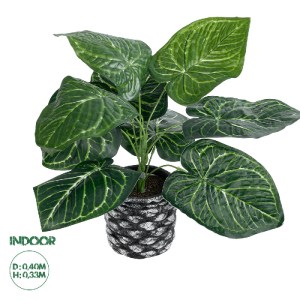 glo-20892-20892_0 GLOBOSTAR® ARTIFICIAL GARDEN ANTHURIUM 20892 ΤΕΧΝΗΤΟ ΔΙΑΚΟΣΜΗΤΙΚΟ ΦΥΤΟ ΑΝΘΟΥΡΙΟ Φ40 X Υ33C