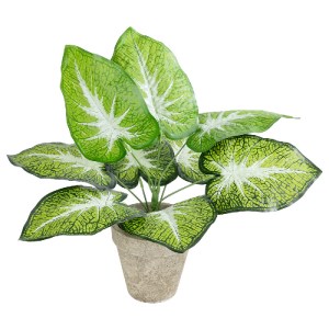 glo-20894-20894_2 GLOBOSTAR® ARTIFICIAL GARDEN CALADIUM POTTED PLANT 20894 ΔΙΑΚΟΣΜΗΤΙΚΟ ΦΥΤΟ ΚΑΛΑΝΤΙΟΥΜ Φ40 