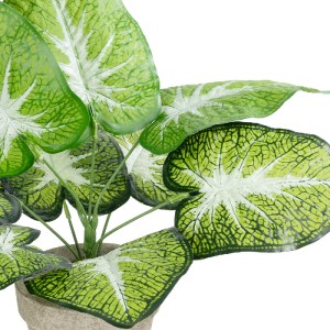glo-20894-20894_3 GLOBOSTAR® ARTIFICIAL GARDEN CALADIUM POTTED PLANT 20894 ΔΙΑΚΟΣΜΗΤΙΚΟ ΦΥΤΟ ΚΑΛΑΝΤΙΟΥΜ Φ40 