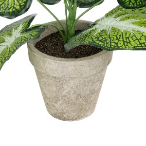 glo-20894-20894_4 GLOBOSTAR® ARTIFICIAL GARDEN CALADIUM POTTED PLANT 20894 ΔΙΑΚΟΣΜΗΤΙΚΟ ΦΥΤΟ ΚΑΛΑΝΤΙΟΥΜ Φ40 