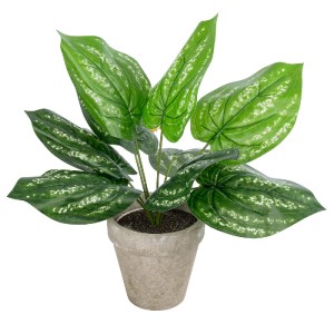 glo-20896-20896_2 GLOBOSTAR® ARTIFICIAL GARDEN SILVER POTHOS POTTED PLANT 20896 ΔΙΑΚΟΣΜΗΤΙΚΟ ΦΥΤΟ ΠΟΘΟΣ Φ40 