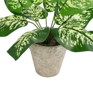 glo-20897-20897_4 GLOBOSTAR® ARTIFICIAL GARDEN DIEFFENBACHIA POTTED PLANT 20897 ΔΙΑΚΟΣΜΗΤΙΚΟ ΦΥΤΟ ΔΙΕΦΕΝΜΠΑΧ