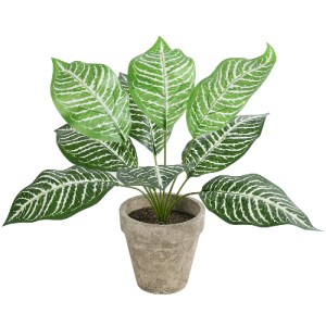glo-20898-20898_2 GLOBOSTAR® ARTIFICIAL GARDEN ZEBRA POTTED PLANT 20898 ΔΙΑΚΟΣΜΗΤΙΚΟ ΦΥΤΟ ΖΕΜΠΡΑ Φ40 X Υ33CM