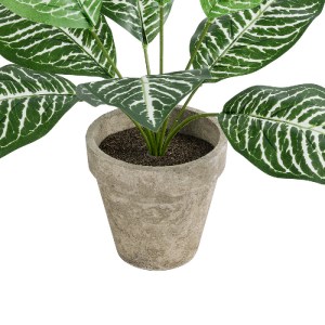 glo-20898-20898_4 GLOBOSTAR® ARTIFICIAL GARDEN ZEBRA POTTED PLANT 20898 ΔΙΑΚΟΣΜΗΤΙΚΟ ΦΥΤΟ ΖΕΜΠΡΑ Φ40 X Υ33CM