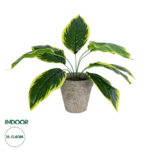 glo-20899-20899_0 GLOBOSTAR® ARTIFICIAL GARDEN YELLOW HOSTA PLANT 20899 ΤΕΧΝΗΤΟ ΔΙΑΚΟΣΜΗΤΙΚΟ ΦΥΤΟ ΚΙΤΡΙΝΗ ΧΟ