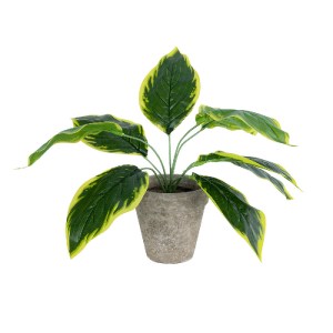 glo-20899-20899_2 GLOBOSTAR® ARTIFICIAL GARDEN YELLOW HOSTA PLANT 20899 ΤΕΧΝΗΤΟ ΔΙΑΚΟΣΜΗΤΙΚΟ ΦΥΤΟ ΚΙΤΡΙΝΗ ΧΟ