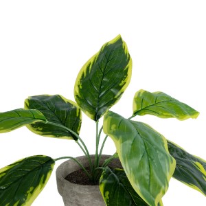 glo-20899-20899_3 GLOBOSTAR® ARTIFICIAL GARDEN YELLOW HOSTA PLANT 20899 ΤΕΧΝΗΤΟ ΔΙΑΚΟΣΜΗΤΙΚΟ ΦΥΤΟ ΚΙΤΡΙΝΗ ΧΟ