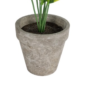 glo-20899-20899_4 GLOBOSTAR® ARTIFICIAL GARDEN YELLOW HOSTA PLANT 20899 ΤΕΧΝΗΤΟ ΔΙΑΚΟΣΜΗΤΙΚΟ ΦΥΤΟ ΚΙΤΡΙΝΗ ΧΟ