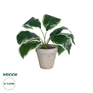glo-20900-20900_0 GLOBOSTAR® ARTIFICIAL GARDEN WHITE HOSTA PLANT 20900 ΔΙΑΚΟΣΜΗΤΙΚΟ ΦΥΤΟ ΛΕΥΚΗ  ΧΟΣΤΑ Φ45 X 