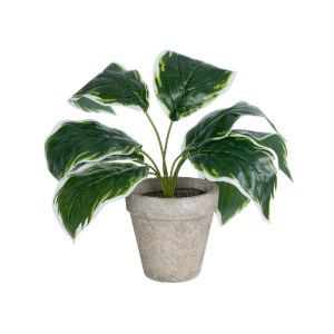 glo-20900-20900_2 GLOBOSTAR® ARTIFICIAL GARDEN WHITE HOSTA PLANT 20900 ΔΙΑΚΟΣΜΗΤΙΚΟ ΦΥΤΟ ΛΕΥΚΗ  ΧΟΣΤΑ Φ45 X 