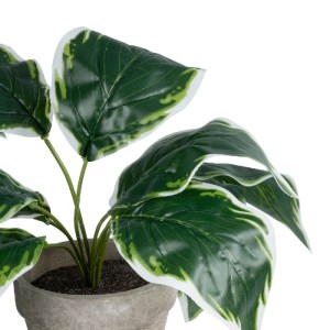 glo-20900-20900_3 GLOBOSTAR® ARTIFICIAL GARDEN WHITE HOSTA PLANT 20900 ΔΙΑΚΟΣΜΗΤΙΚΟ ΦΥΤΟ ΛΕΥΚΗ  ΧΟΣΤΑ Φ45 X 