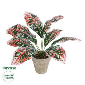 glo-20901-20901_0 GLOBOSTAR® ARTIFICIAL GARDEN RED AGLAONEMA POTTED PLANT 20901 ΔΙΑΚΟΣΜΗΤΙΚΟ ΦΥΤΟ ΚΟΚΚΙΝΟ ΑΓ