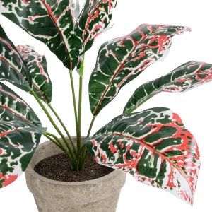 glo-20901-20901_3 GLOBOSTAR® ARTIFICIAL GARDEN RED AGLAONEMA POTTED PLANT 20901 ΔΙΑΚΟΣΜΗΤΙΚΟ ΦΥΤΟ ΚΟΚΚΙΝΟ ΑΓ