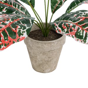 glo-20901-20901_4 GLOBOSTAR® ARTIFICIAL GARDEN RED AGLAONEMA POTTED PLANT 20901 ΔΙΑΚΟΣΜΗΤΙΚΟ ΦΥΤΟ ΚΟΚΚΙΝΟ ΑΓ