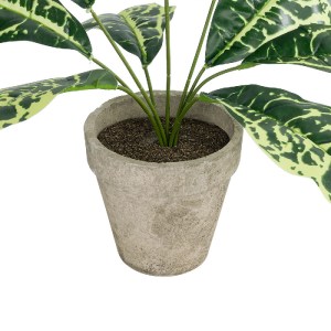 glo-20902-20902_4 GLOBOSTAR® ARTIFICIAL GARDEN YELLOW AGLAONEMA POTTED PLANT 20902 ΔΙΑΚΟΣΜΗΤΙΚΟ ΦΥΤΟ ΚΙΤΡΙΝΟ