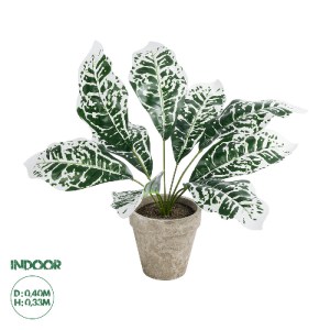 glo-20903-20903_0 GLOBOSTAR® ARTIFICIAL GARDEN WHITE AGLAONEMA POTTED PLANT 20903 ΔΙΑΚΟΣΜΗΤΙΚΟ ΦΥΤΟ ΛΕΥΚΟ ΑΓ