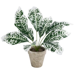 glo-20903-20903_2 GLOBOSTAR® ARTIFICIAL GARDEN WHITE AGLAONEMA POTTED PLANT 20903 ΔΙΑΚΟΣΜΗΤΙΚΟ ΦΥΤΟ ΛΕΥΚΟ ΑΓ