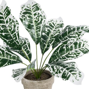 glo-20903-20903_3 GLOBOSTAR® ARTIFICIAL GARDEN WHITE AGLAONEMA POTTED PLANT 20903 ΔΙΑΚΟΣΜΗΤΙΚΟ ΦΥΤΟ ΛΕΥΚΟ ΑΓ