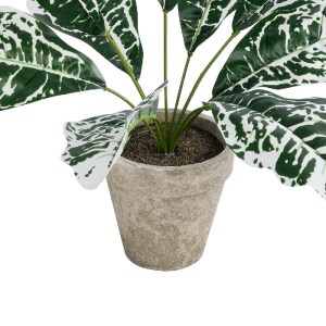 glo-20903-20903_4 GLOBOSTAR® ARTIFICIAL GARDEN WHITE AGLAONEMA POTTED PLANT 20903 ΔΙΑΚΟΣΜΗΤΙΚΟ ΦΥΤΟ ΛΕΥΚΟ ΑΓ