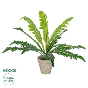 glo-20904-20904_0 GLOBOSTAR® ARTIFICIAL GARDEN  ASPLENIUM POTTED PLANT 20904 ΔΙΑΚΟΣΜΗΤΙΚΟ ΦΥΤΟ ASLENIUM Φ40 