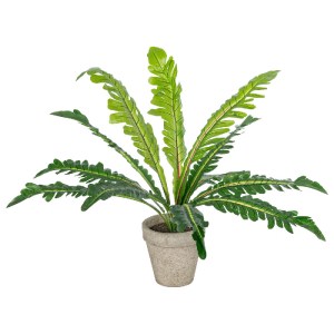 glo-20904-20904_2 GLOBOSTAR® ARTIFICIAL GARDEN  ASPLENIUM POTTED PLANT 20904 ΔΙΑΚΟΣΜΗΤΙΚΟ ΦΥΤΟ ASLENIUM Φ40 