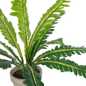 glo-20904-20904_3 GLOBOSTAR® ARTIFICIAL GARDEN  ASPLENIUM POTTED PLANT 20904 ΔΙΑΚΟΣΜΗΤΙΚΟ ΦΥΤΟ ASLENIUM Φ40 