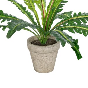 glo-20904-20904_4 GLOBOSTAR® ARTIFICIAL GARDEN  ASPLENIUM POTTED PLANT 20904 ΔΙΑΚΟΣΜΗΤΙΚΟ ΦΥΤΟ ASLENIUM Φ40 