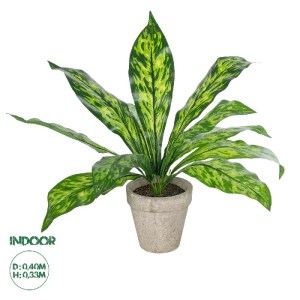glo-20905-20905_0 GLOBOSTAR® ARTIFICIAL GARDEN  SPATHIPHYLLUM POTTED PLANT 20905 ΔΙΑΚΟΣΜΗΤΙΚΟ ΦΥΤΟ ΣΠΑΘΙΦΥΛΛ