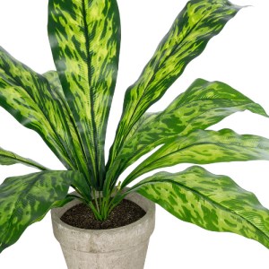 glo-20905-20905_3 GLOBOSTAR® ARTIFICIAL GARDEN  SPATHIPHYLLUM POTTED PLANT 20905 ΔΙΑΚΟΣΜΗΤΙΚΟ ΦΥΤΟ ΣΠΑΘΙΦΥΛΛ