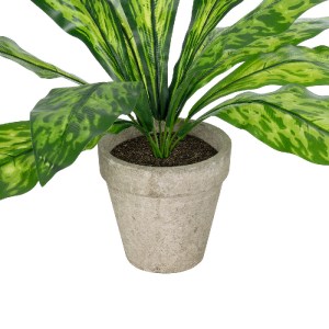 glo-20905-20905_4 GLOBOSTAR® ARTIFICIAL GARDEN  SPATHIPHYLLUM POTTED PLANT 20905 ΔΙΑΚΟΣΜΗΤΙΚΟ ΦΥΤΟ ΣΠΑΘΙΦΥΛΛ