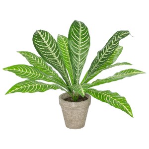 glo-20906-20906_2 GLOBOSTAR® ARTIFICIAL GARDEN  ZEBRA POTTED PLANT 20906 ΔΙΑΚΟΣΜΗΤΙΚΟ ΦΥΤΟ ΖΕΜΠΡΑ Φ40 X Υ33C