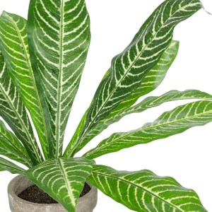 glo-20906-20906_3 GLOBOSTAR® ARTIFICIAL GARDEN  ZEBRA POTTED PLANT 20906 ΔΙΑΚΟΣΜΗΤΙΚΟ ΦΥΤΟ ΖΕΜΠΡΑ Φ40 X Υ33C