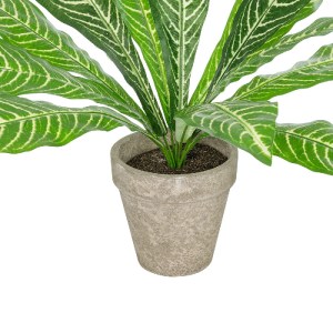 glo-20906-20906_4 GLOBOSTAR® ARTIFICIAL GARDEN  ZEBRA POTTED PLANT 20906 ΔΙΑΚΟΣΜΗΤΙΚΟ ΦΥΤΟ ΖΕΜΠΡΑ Φ40 X Υ33C