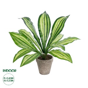 glo-20907-20907_0 GLOBOSTAR® ARTIFICIAL GARDEN  DRACAENA POTTED PLANT 20907 ΔΙΑΚΟΣΜΗΤΙΚΟ ΦΥΤΟ ΔΡΑΚΕΝΑ Φ40 X 
