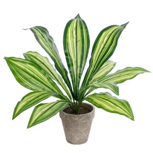 glo-20907-20907_2 GLOBOSTAR® ARTIFICIAL GARDEN  DRACAENA POTTED PLANT 20907 ΔΙΑΚΟΣΜΗΤΙΚΟ ΦΥΤΟ ΔΡΑΚΕΝΑ Φ40 X 