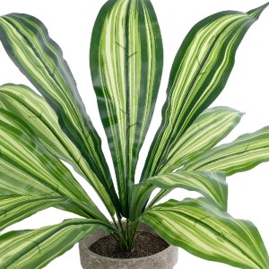 glo-20907-20907_3 GLOBOSTAR® ARTIFICIAL GARDEN  DRACAENA POTTED PLANT 20907 ΔΙΑΚΟΣΜΗΤΙΚΟ ΦΥΤΟ ΔΡΑΚΕΝΑ Φ40 X 