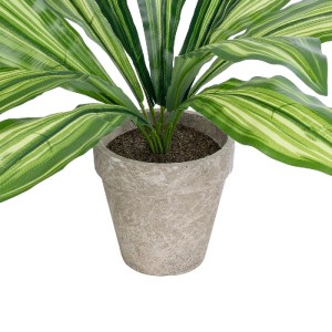 glo-20907-20907_4 GLOBOSTAR® ARTIFICIAL GARDEN  DRACAENA POTTED PLANT 20907 ΔΙΑΚΟΣΜΗΤΙΚΟ ΦΥΤΟ ΔΡΑΚΕΝΑ Φ40 X 